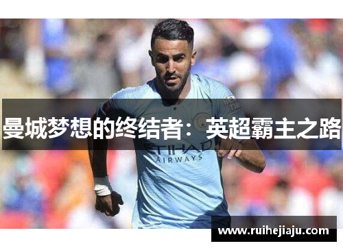 曼城梦想的终结者：英超霸主之路