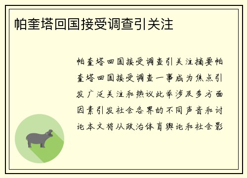 帕奎塔回国接受调查引关注