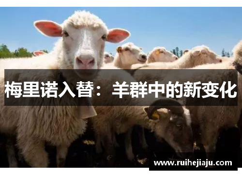 梅里诺入替：羊群中的新变化